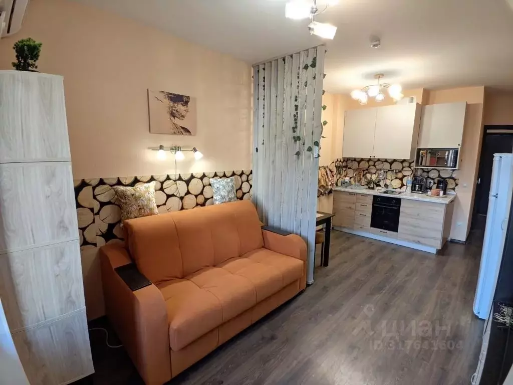 Студия Санкт-Петербург просп. Ветеранов, 171к4 (24.5 м) - Фото 0