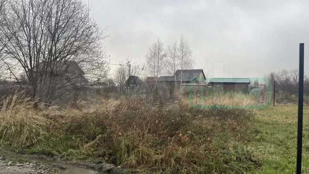 Участок в Калининградская область, Зеленоградский муниципальный округ, ... - Фото 1