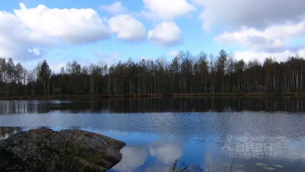 Участок в Ленинградская область, Приозерский район, Севастьяновское ... - Фото 2