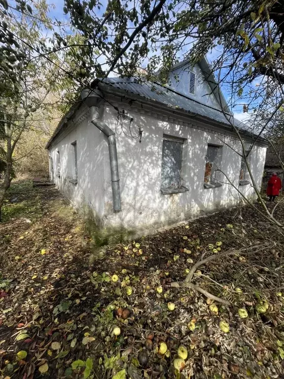 Дом в Липецкая область, Усманский район, Дрязги ж/д_ст  (65 м) - Фото 1