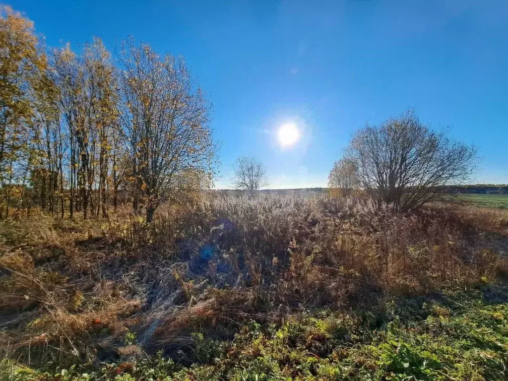 Участок в Вологодская область, Шекснинский муниципальный округ, д. ... - Фото 1