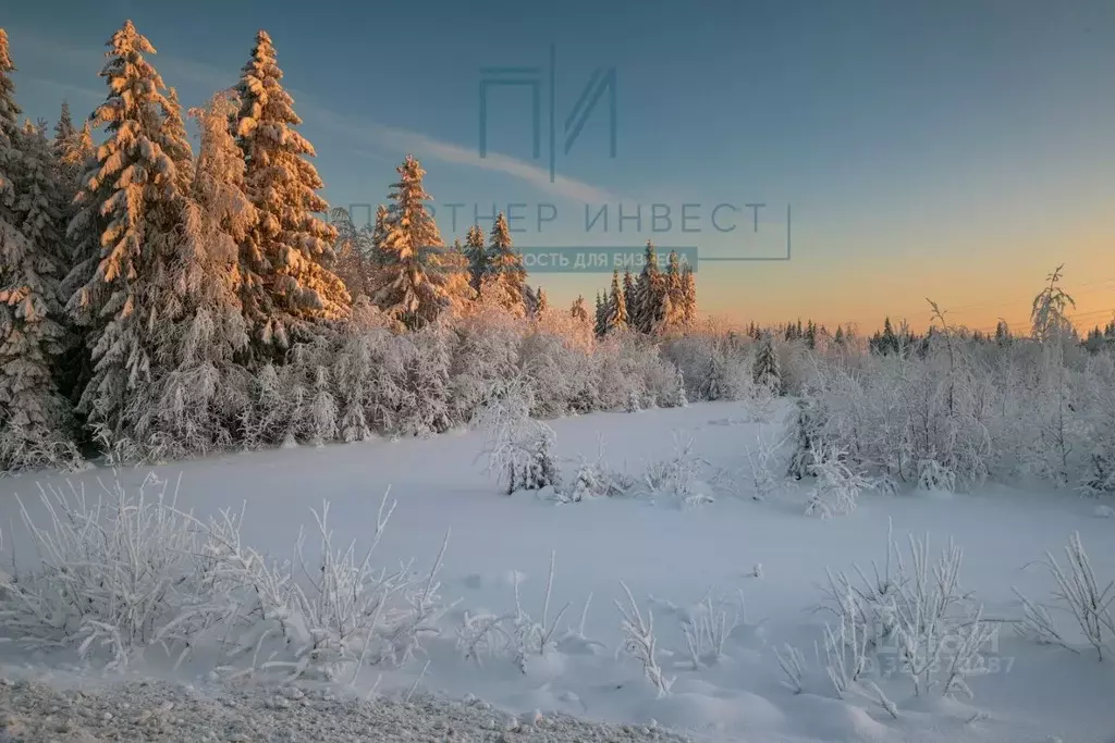 Участок в Свердловская область, Ревда муниципальный округ, с. ... - Фото 1