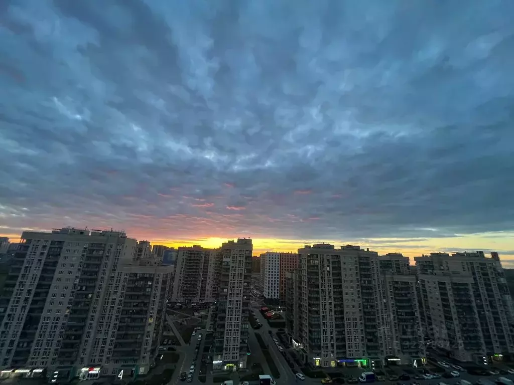 1-к кв. Московская область, Люберцы Зенино ЖК Самолет мкр, ул. ... - Фото 2