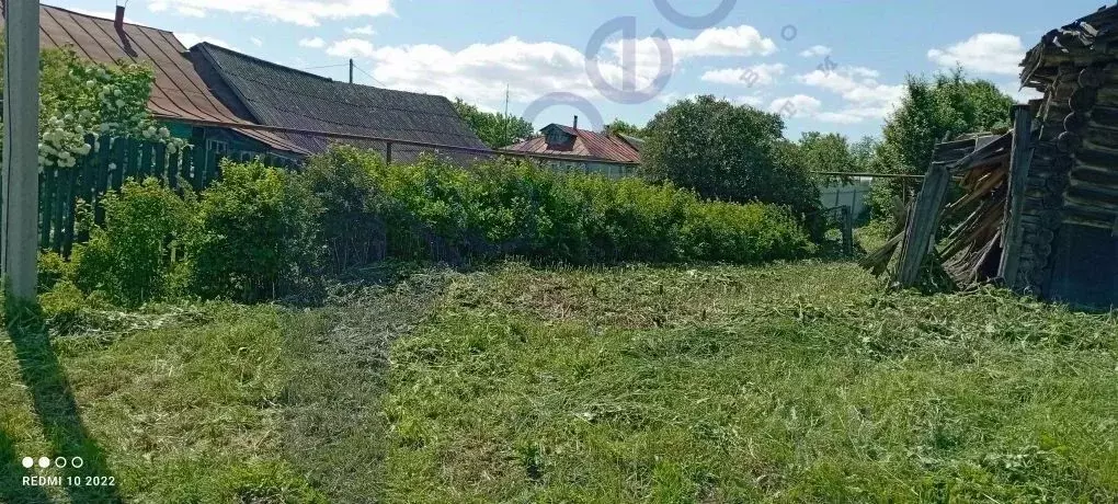Участок в Нижегородская область, Большемурашкинский муниципальный ... - Фото 1