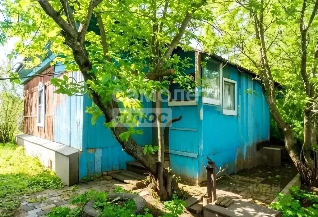 Дом в Алтайский край, Быстроистокский район, с. Акутиха ул. Ленина, 10 ... - Фото 1