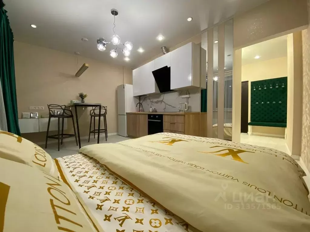 Студия Московская область, Королев Октябрьский бул., 26 (33.0 м) - Фото 1