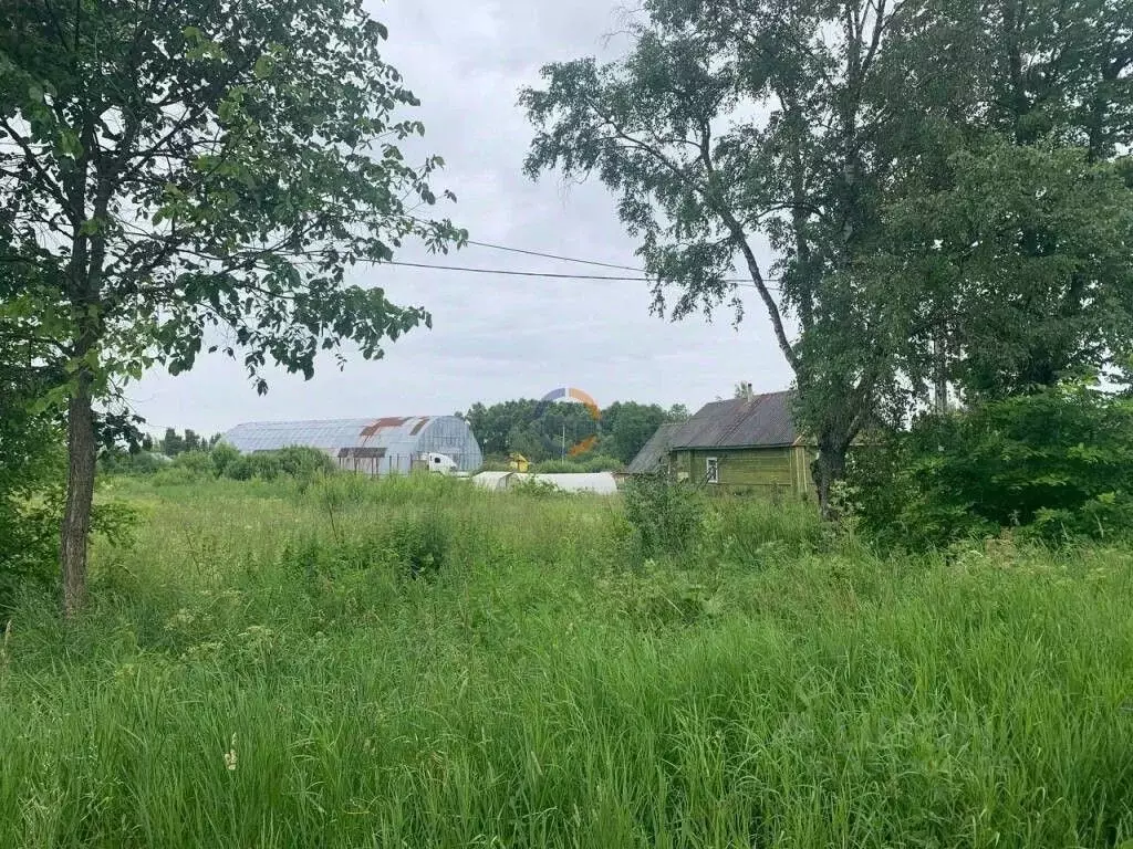 Участок в Новгородская область, Чудово Грузинское ш., 20 (16.0 сот.) - Фото 2