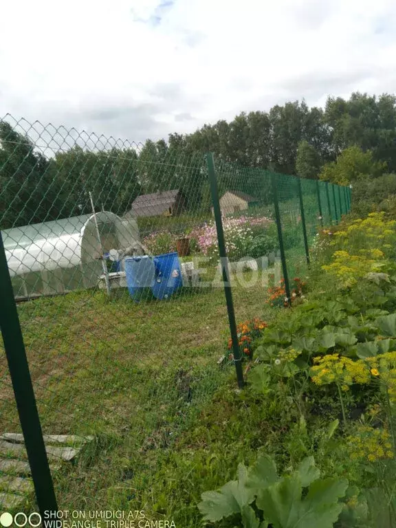 Участок в Пушкинское сельское поселение, деревня Давыдовка (10 м) - Фото 1