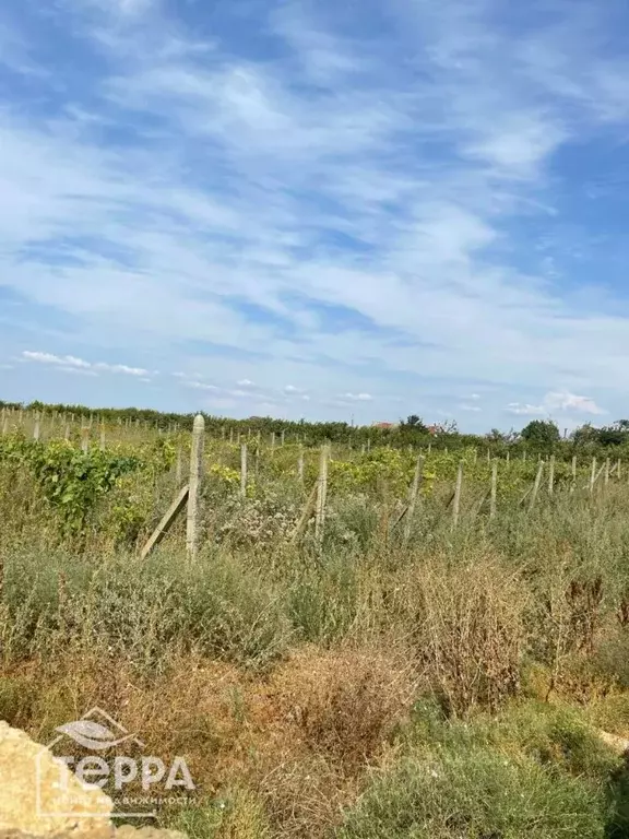 Участок в Крым, Сакский район, с. Добрушино ул. Урожайная, 2 (20.0 ... - Фото 2