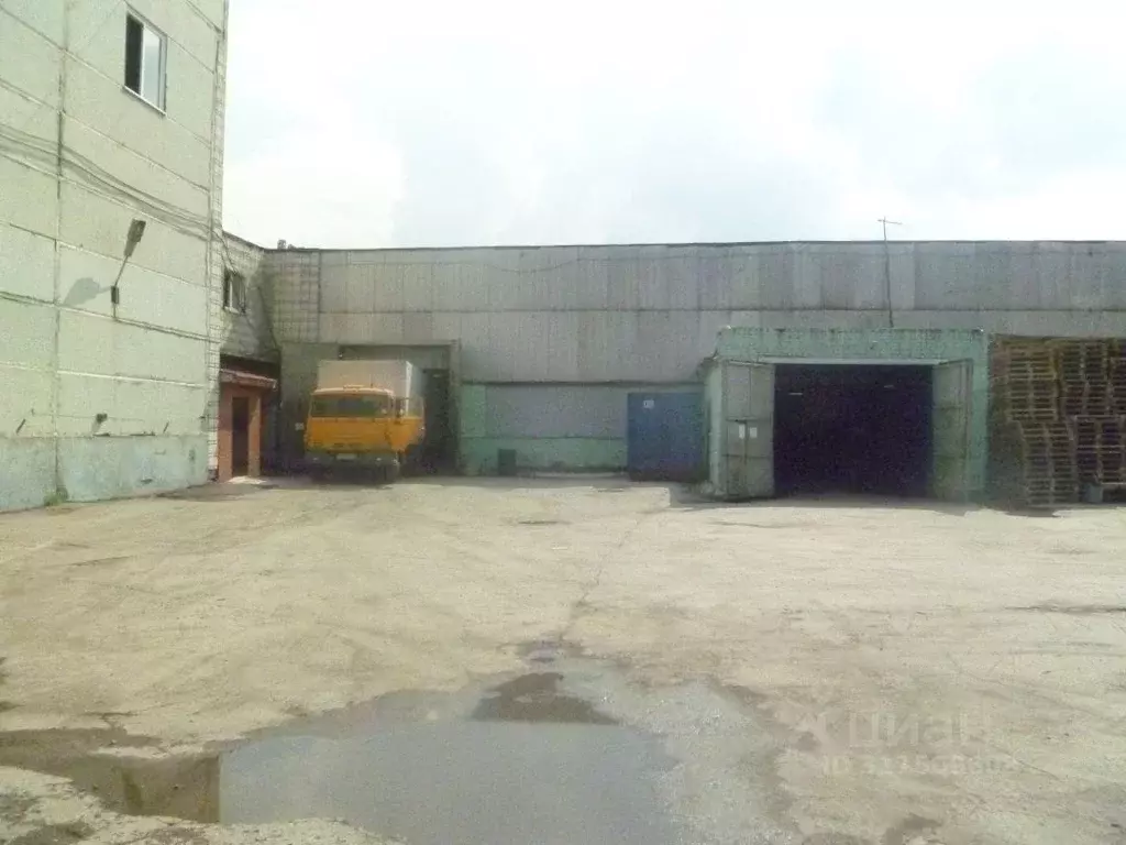 Помещение свободного назначения в Новосибирская область, Новосибирск ... - Фото 0