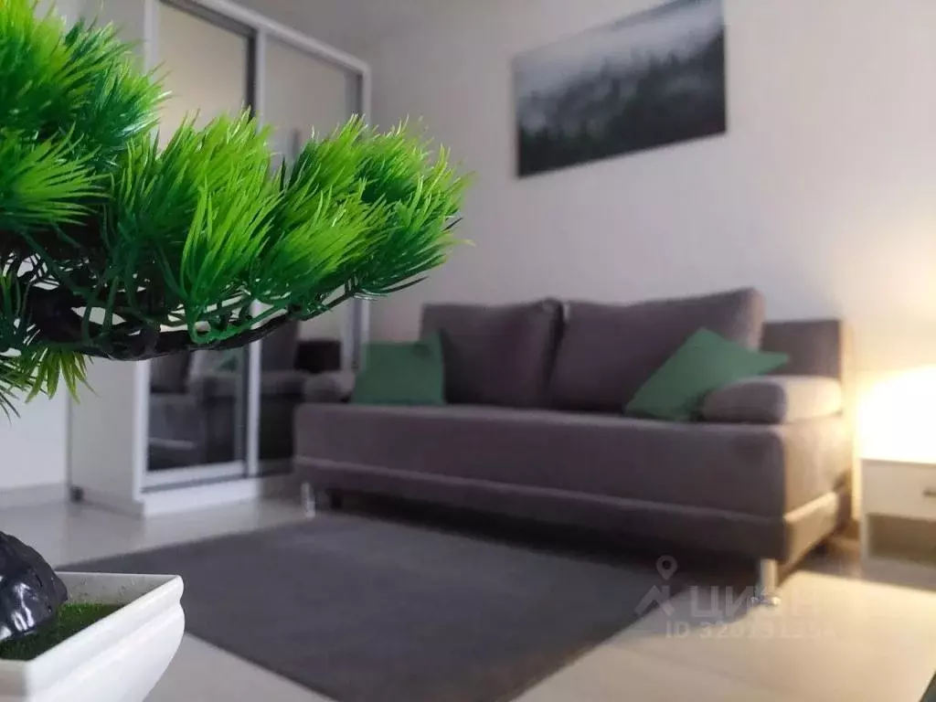 1-к кв. Тюменская область, Тюмень Заречный проезд, 31 (30.0 м) - Фото 1