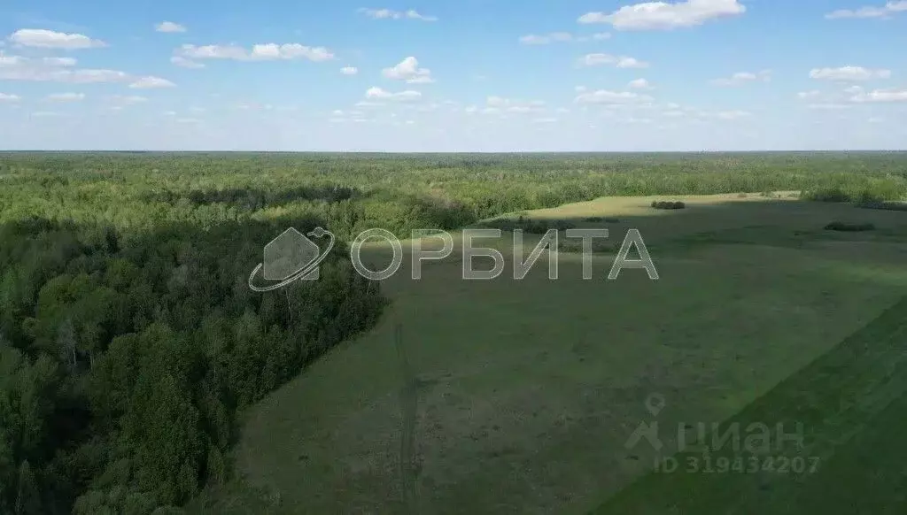 Участок в Тюменская область, Нижнетавдинский район, Моторостроитель ... - Фото 0