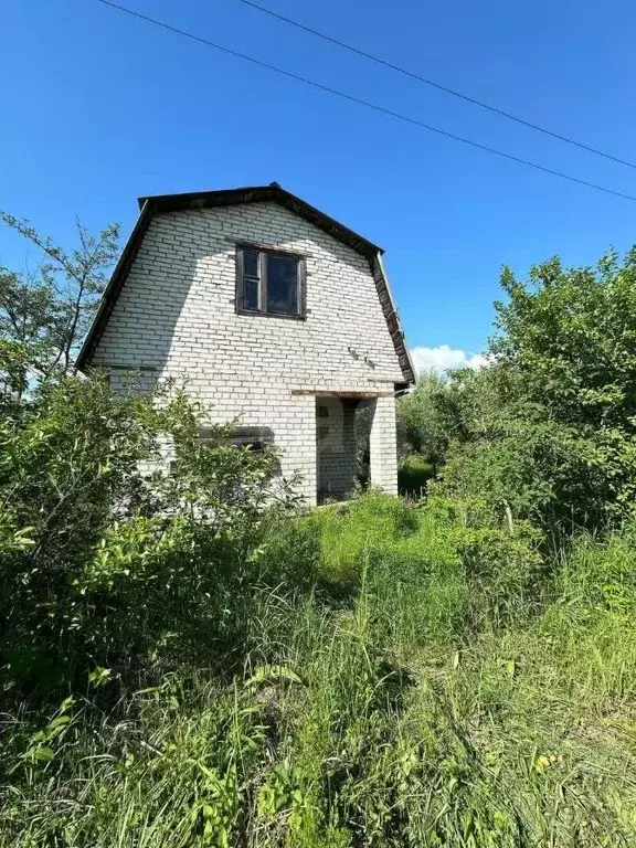 Участок в Брянская область, Брянский район, Мичуринское с/пос, ... - Фото 1