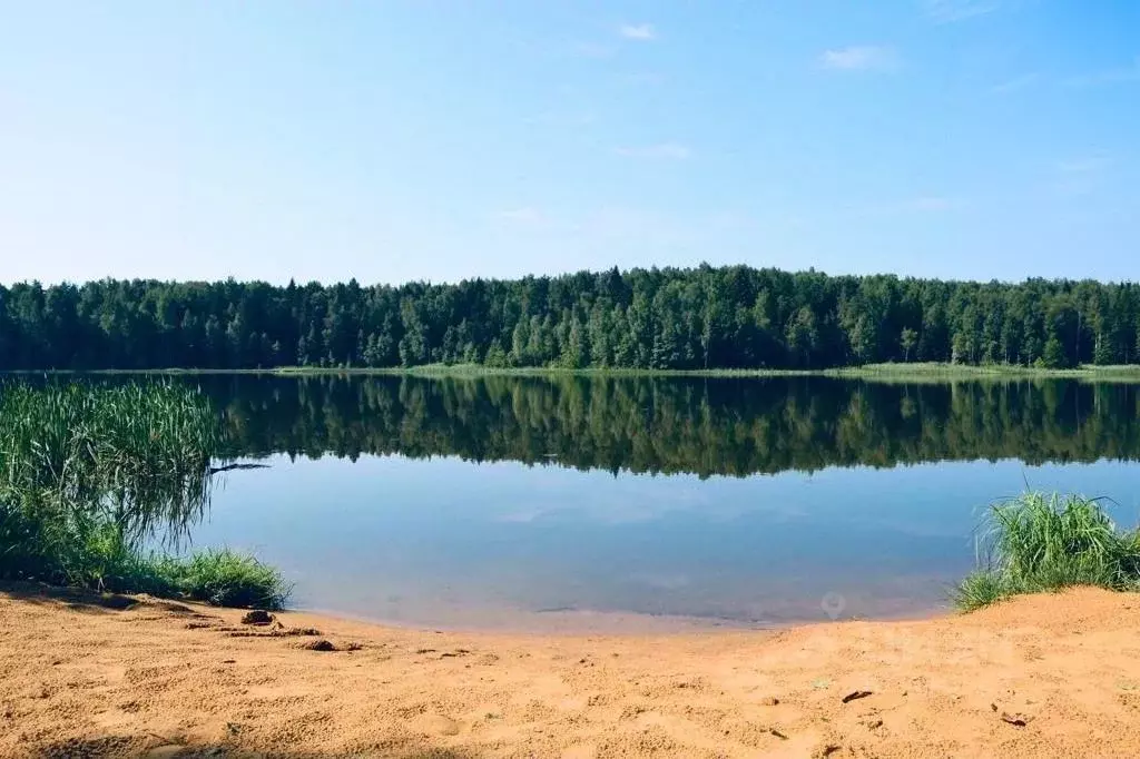 Участок в Владимирская область, Киржачский район, д. Тельвяково  (10.0 ... - Фото 0