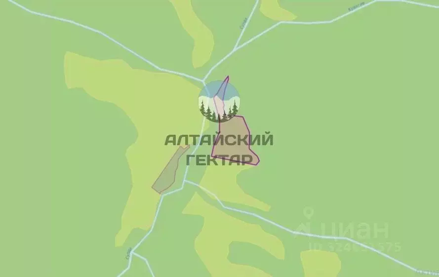 Участок в Алтай, Чемальский район, Элекмонарское с/пос, с. Элекмонар ... - Фото 2