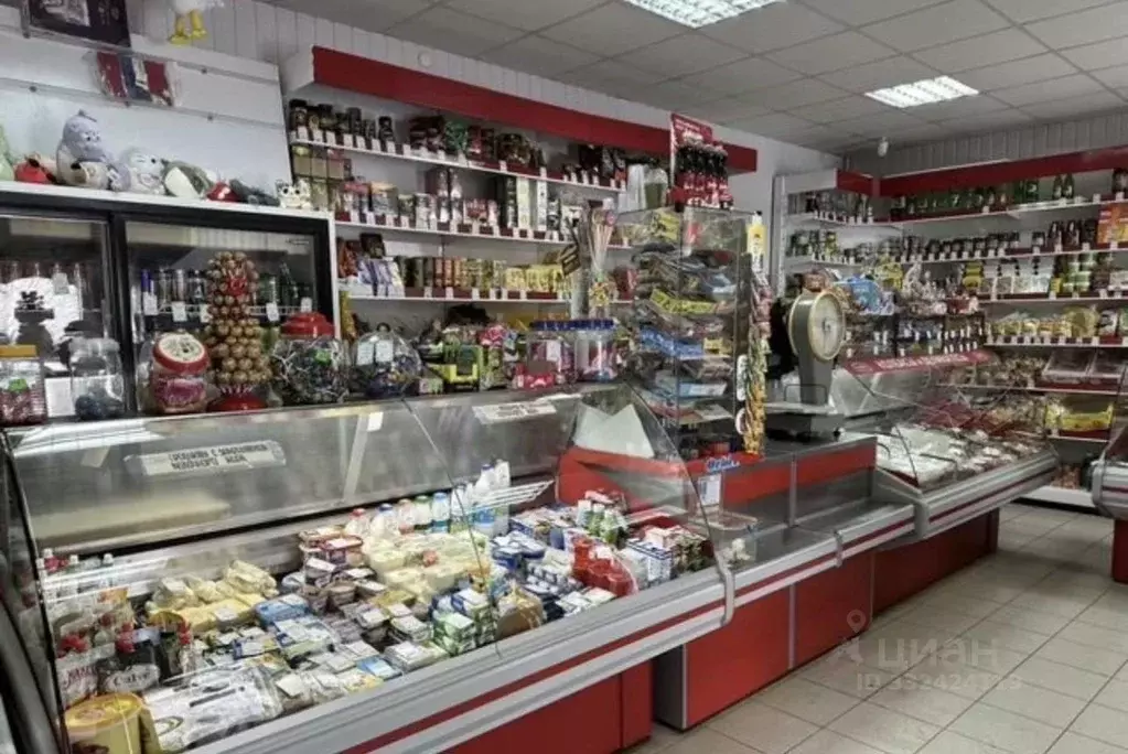Помещение свободного назначения в Краснодарский край, Горячий Ключ ул. ... - Фото 2