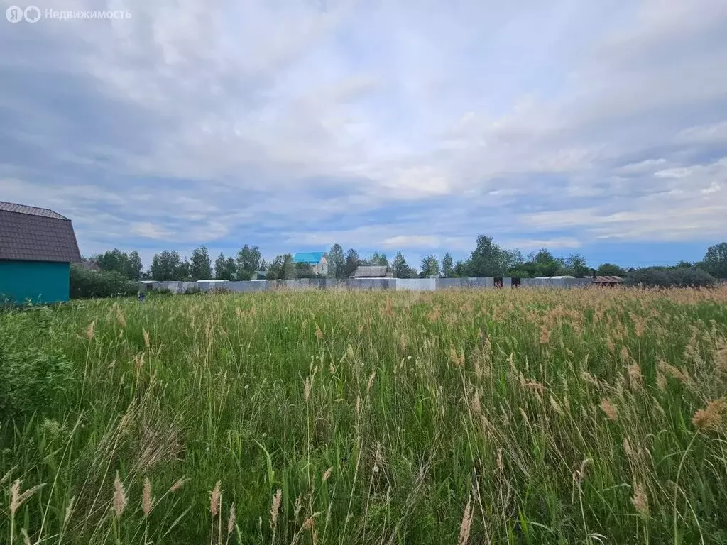 Участок в Тюмень, СНТ Факел, 5-я линия (11.64 м) - Фото 1