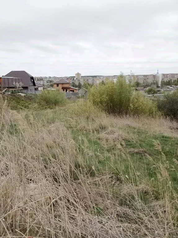 Участок в Мордовия, Лямбирский район, Берсеневское с/пос, с. ... - Фото 1