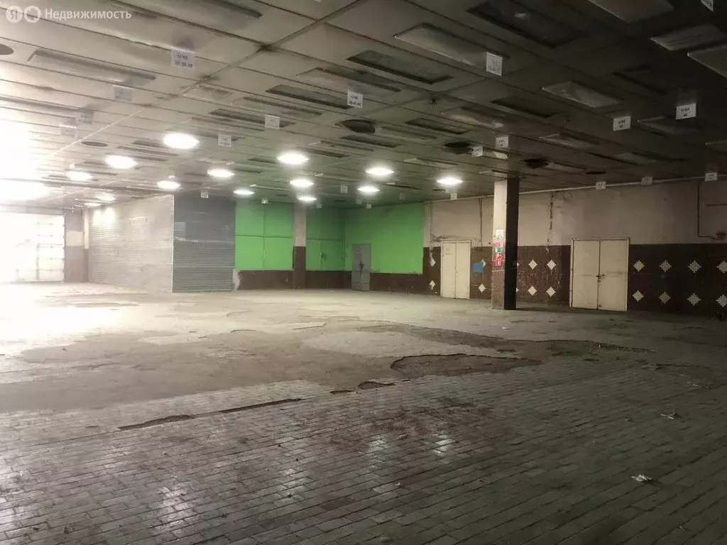 Помещение свободного назначения (595 м) - Фото 1