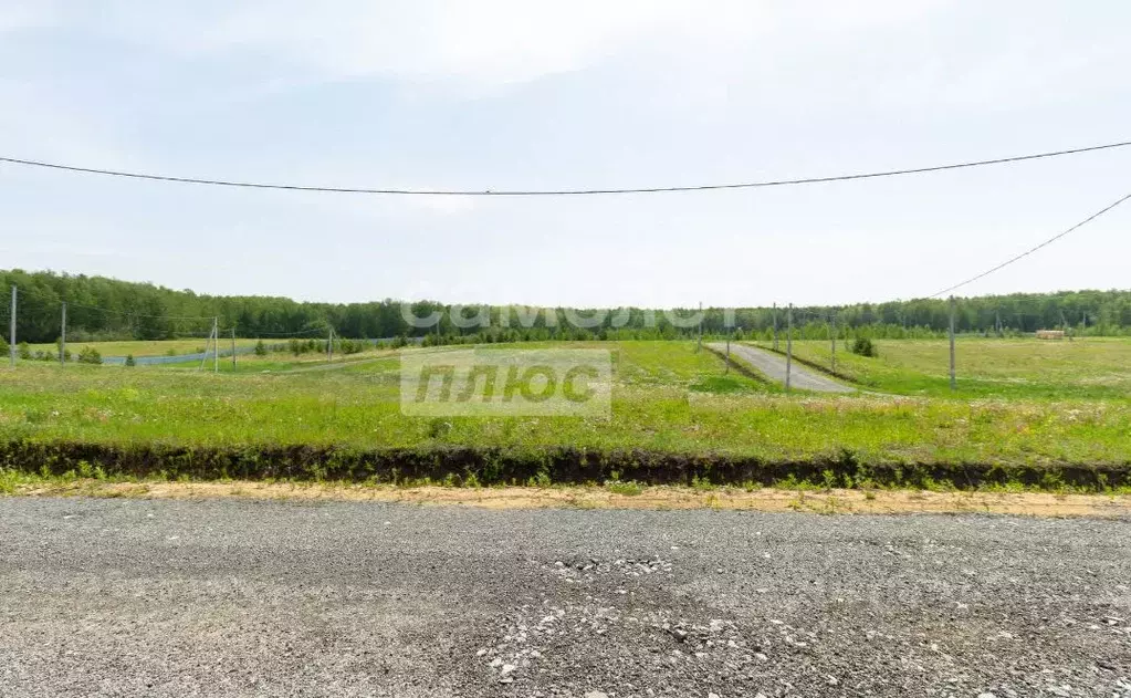 Участок в Тюменская область, Тюменский район, с. Кулига  (5.3 сот.) - Фото 0