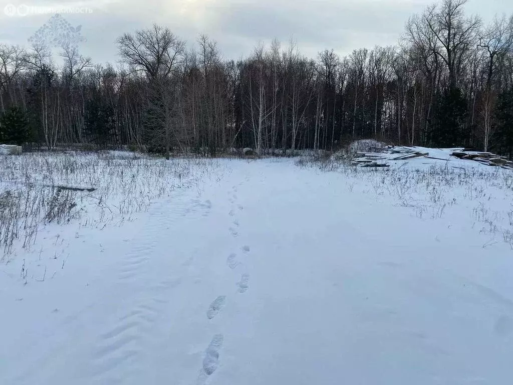 Участок в Рамонский район, село Горожанка (100 м) - Фото 0