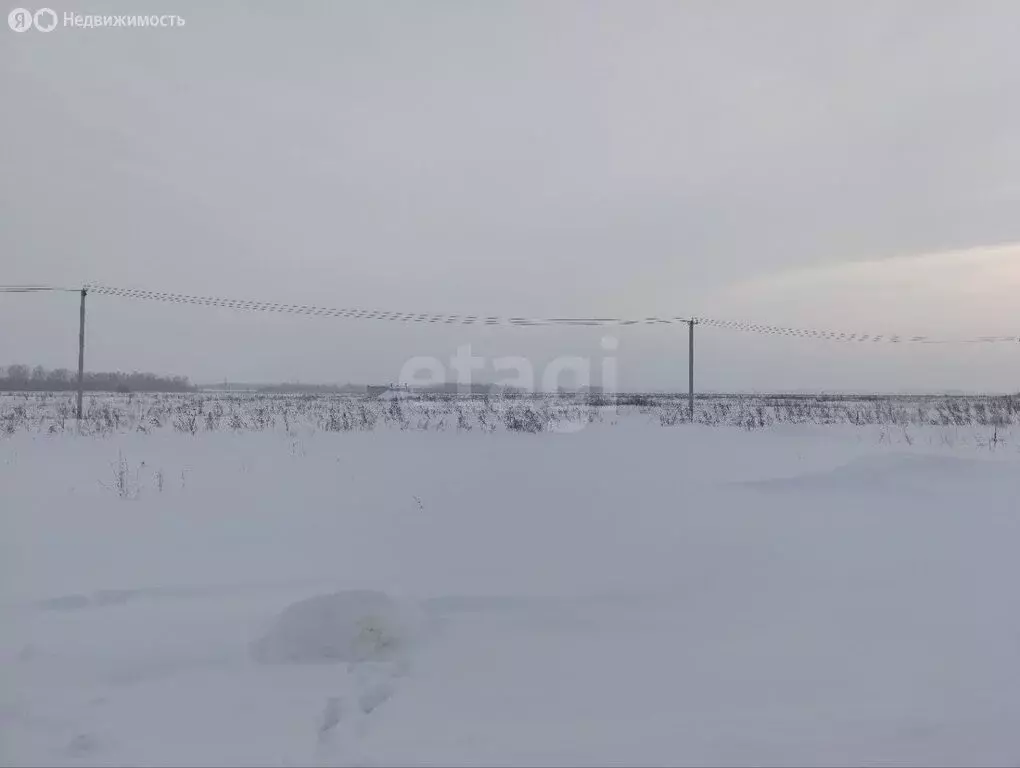 Участок в Лаишевский район, село Сокуры (6 м) - Фото 1