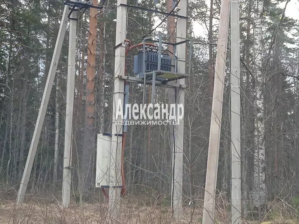 Участок в Ленинградская область, Приозерский район, Громовское с/пос, ... - Фото 2