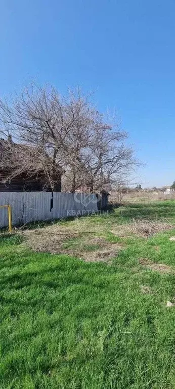 Участок в Волгоградская область, Среднеахтубинский район, Куйбышевское ... - Фото 1