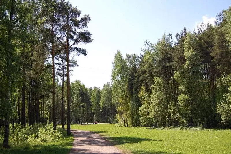 Участок в Чувашия, Чебоксары городской округ, Сосновка пгт  (9.51 ... - Фото 1