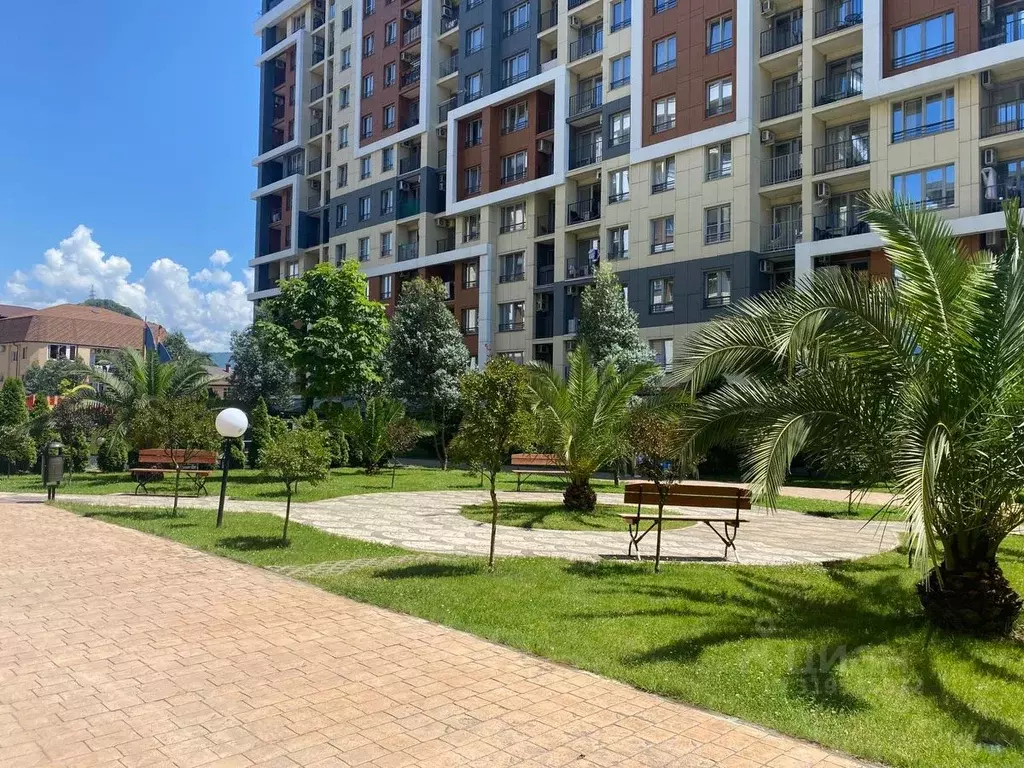 Студия Краснодарский край, Сочи городской округ, Дагомыс пгт ул. ... - Фото 1