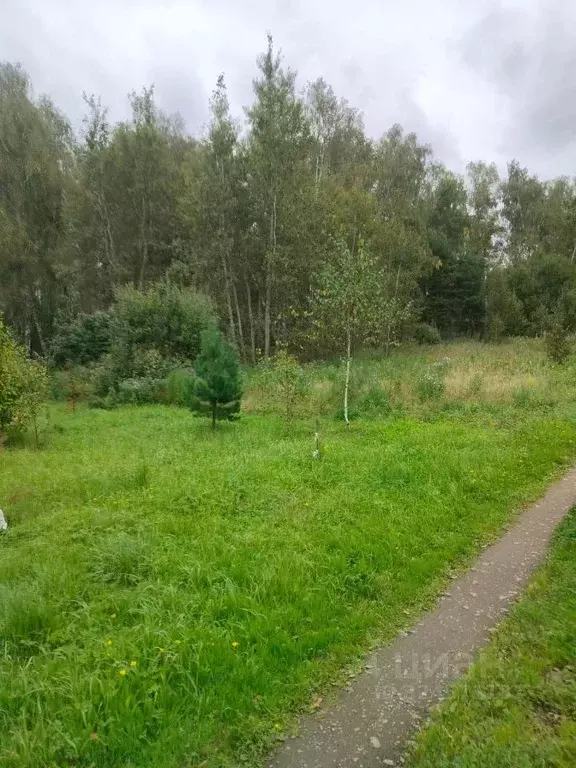 Участок в Московская область, Ступино городской округ, с. ... - Фото 2