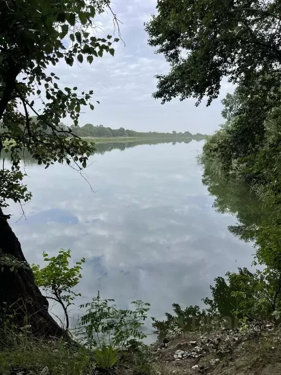 Участок в Краснодарский край, Красноармейский район, Новомышастовское ... - Фото 1