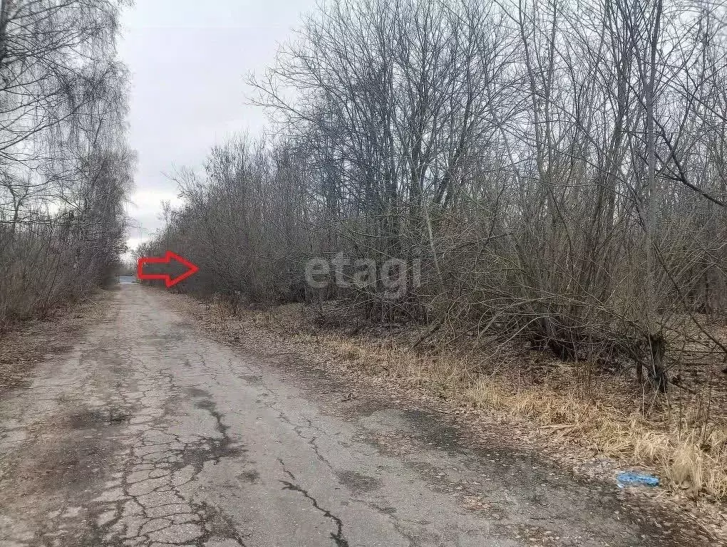 Участок в Курская область, Курский район, Нижнемедведицкий сельсовет, ... - Фото 0