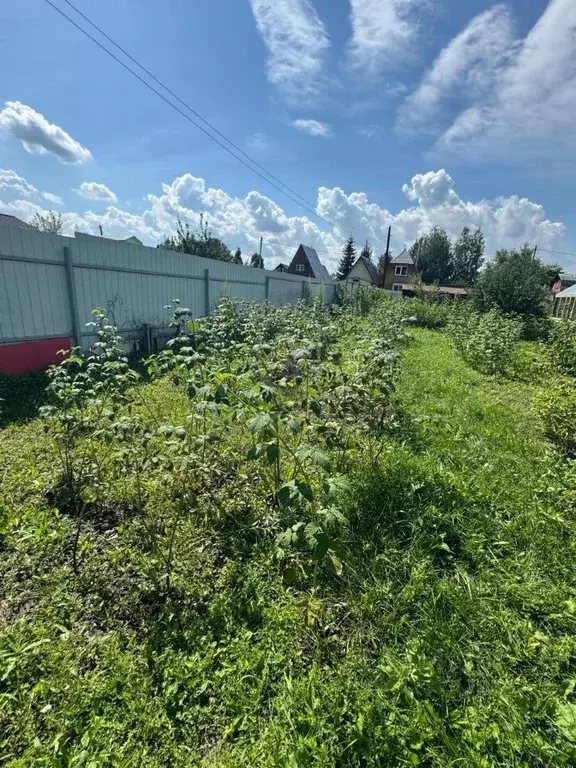 Участок в Новосибирская область, Новосибирский район, Криводановский ... - Фото 1