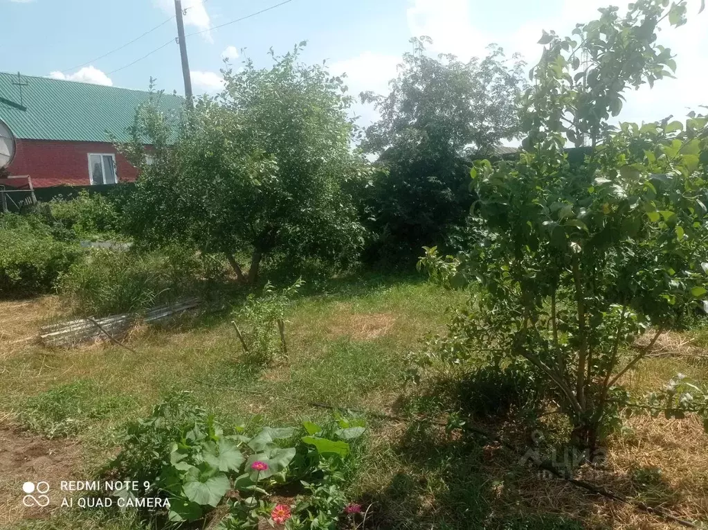 Участок в Омская область, Омский район, Новотроицкое с/пос, с. ... - Фото 1