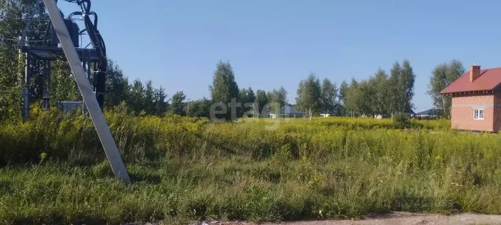 Участок в Калининградская область, Гурьевский муниципальный округ, ... - Фото 1