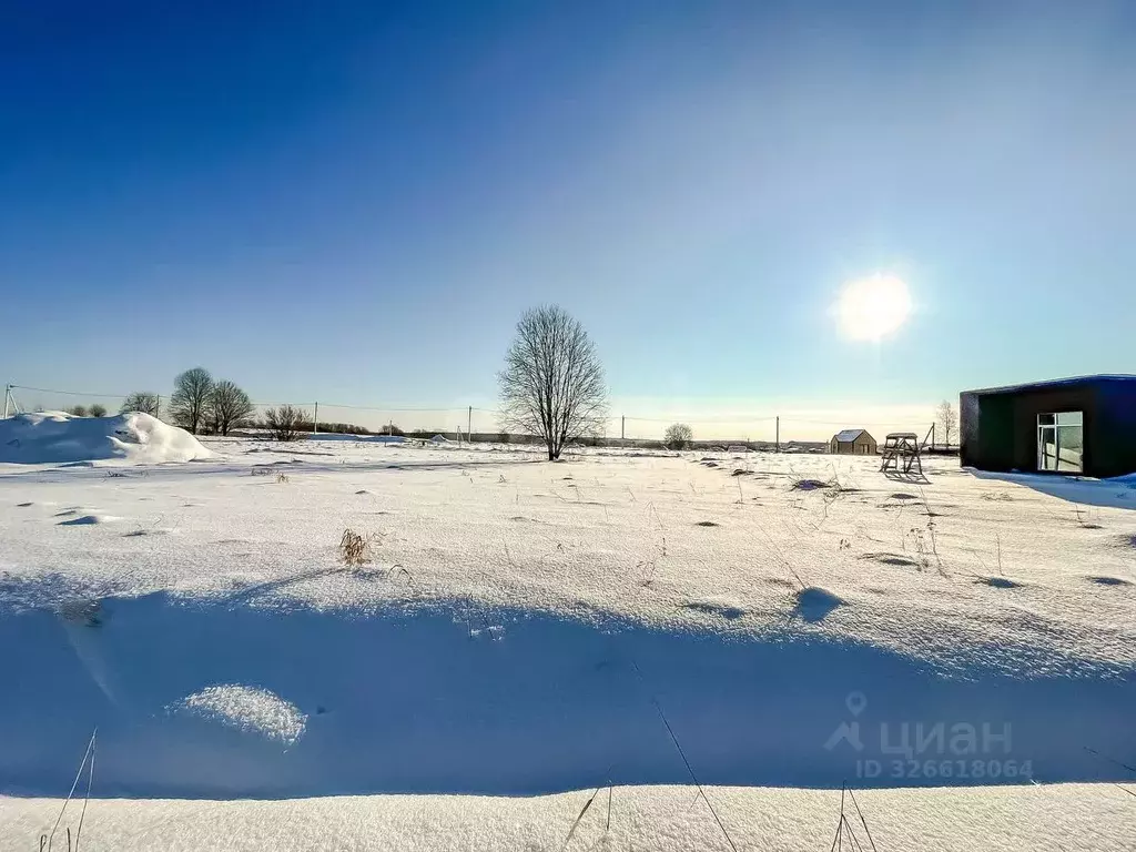 Участок в Ленинградская область, Ломоносовский район, Низинское с/пос, ... - Фото 1