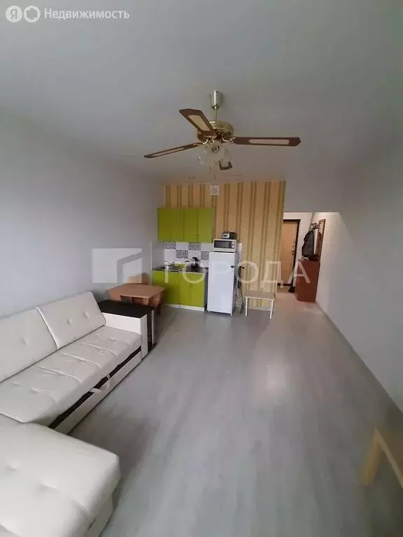 Квартира-студия: Новосибирск, улица Ошанина, 1 (24.8 м) - Фото 2