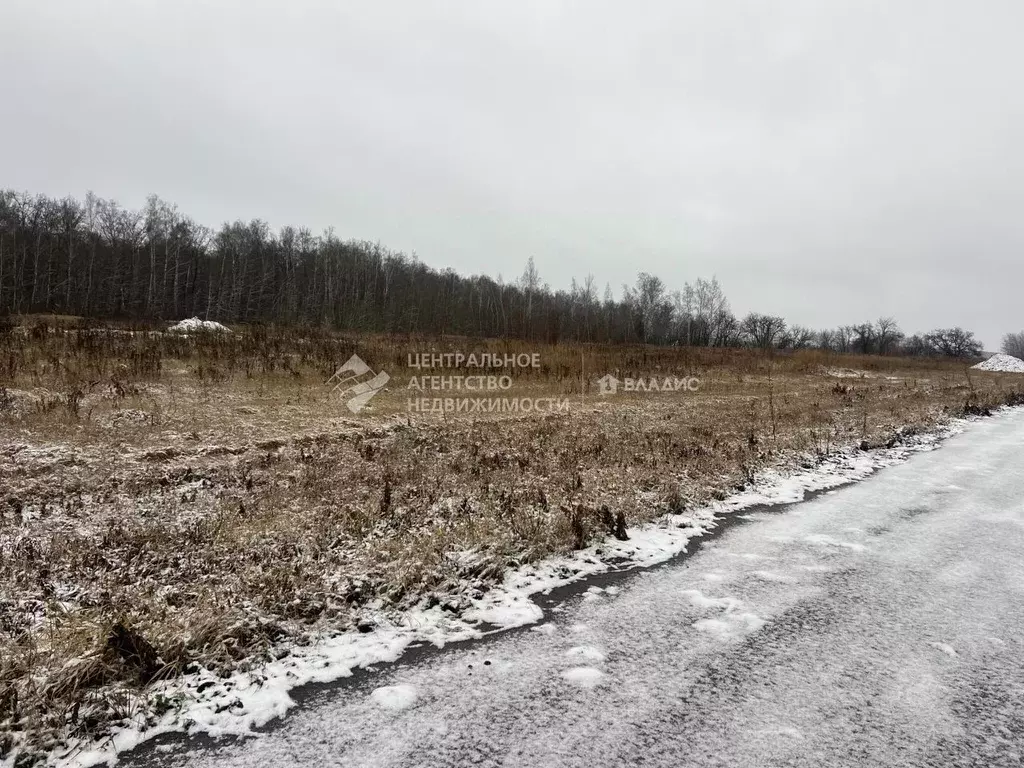 Участок в Рязанская область, Рыбновский муниципальный округ, ... - Фото 1