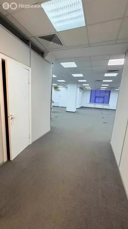 Офис (254.7 м) - Фото 2