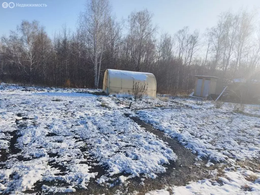 Участок в Бердск, СНТ Марьин Лог (8 м) - Фото 0