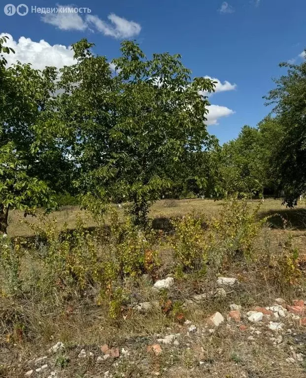 участок в посёлок персиановский, ст курень (10 м) - Фото 0