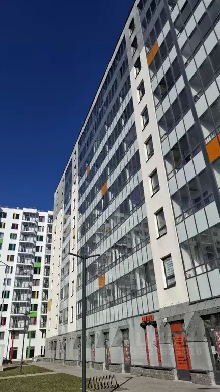 Студия Санкт-Петербург пос. Шушары, ул. Чудовская, 14к2 (25.0 м) - Фото 2