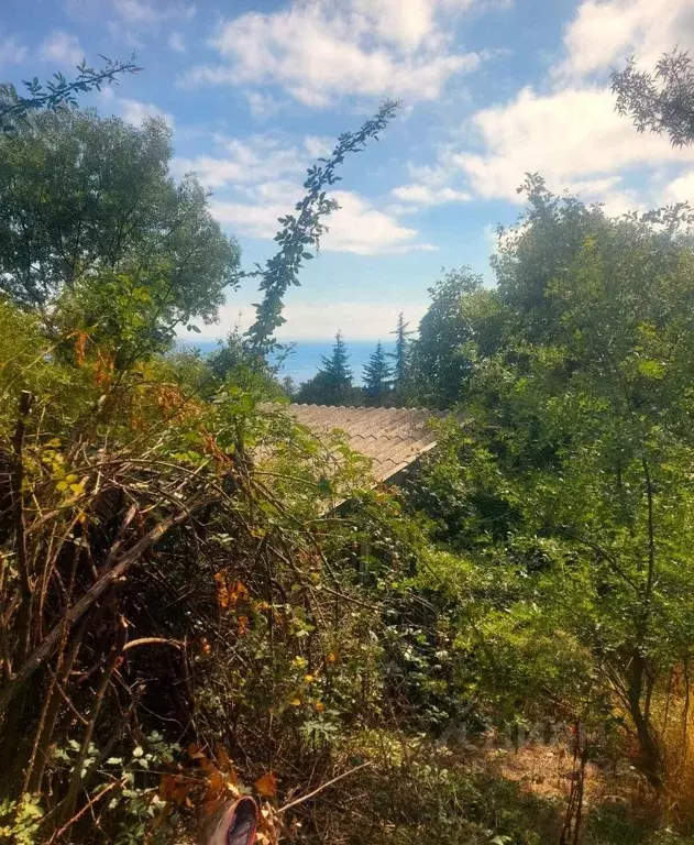 Участок в Крым, Ялта муниципальный округ, Гурзуф пгт ул. Приветная, 1 ... - Фото 1