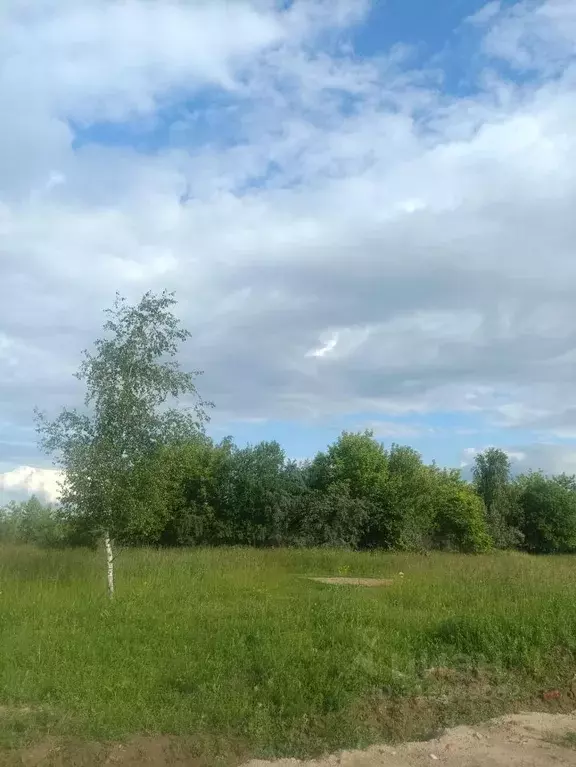 Участок в Московская область, Щелково Кожинский Берег кп, 132 (6.56 ... - Фото 0