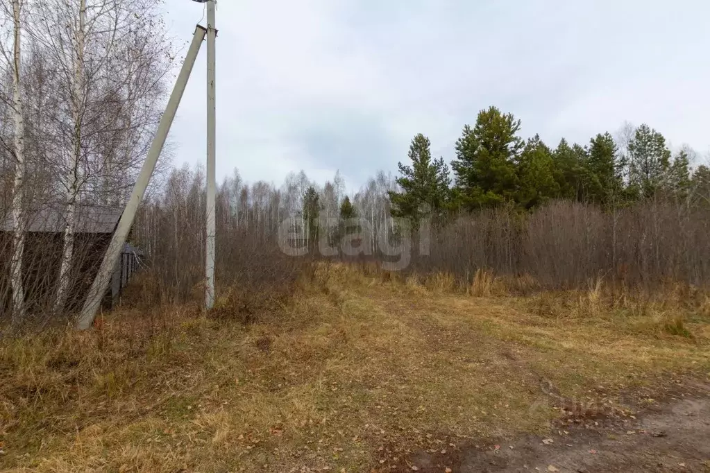 Участок в Тюменская область, Нижнетавдинский муниципальный округ, д. ... - Фото 1