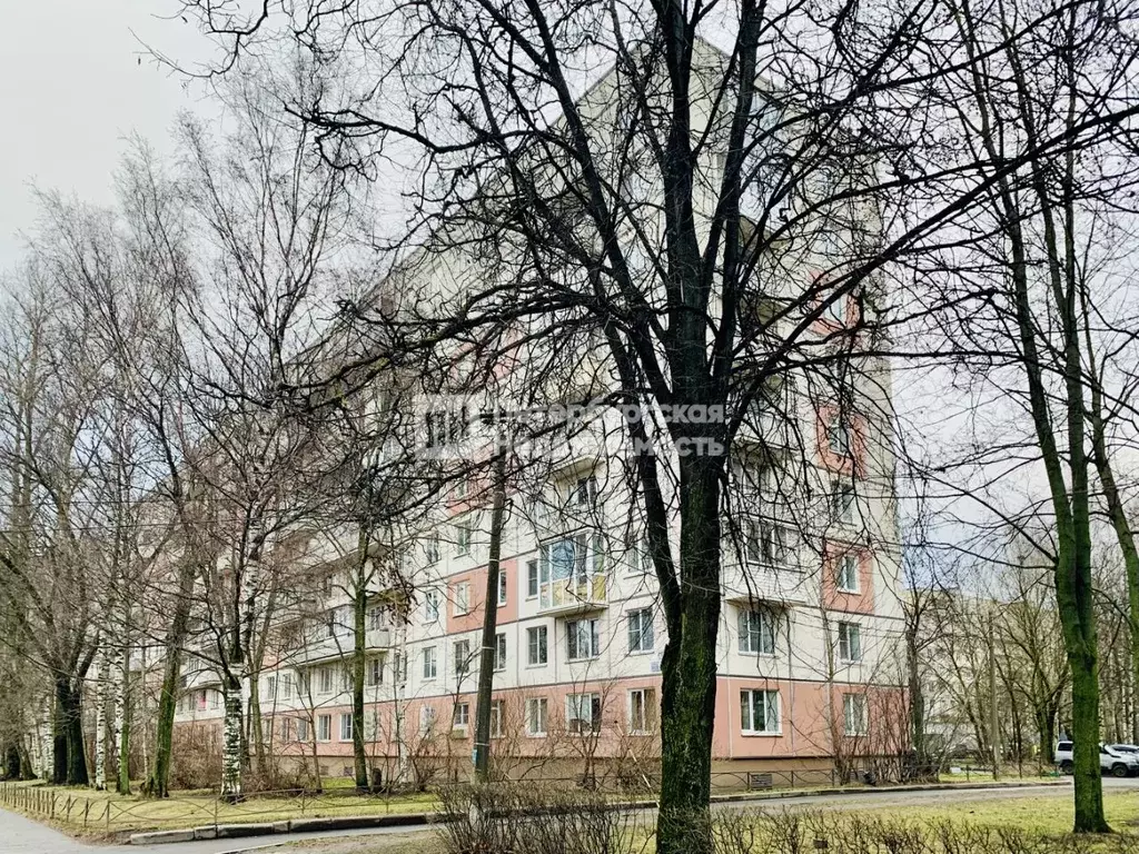 1-к кв. Санкт-Петербург ул. Маршала Тухачевского, 9 (30.5 м) - Фото 1