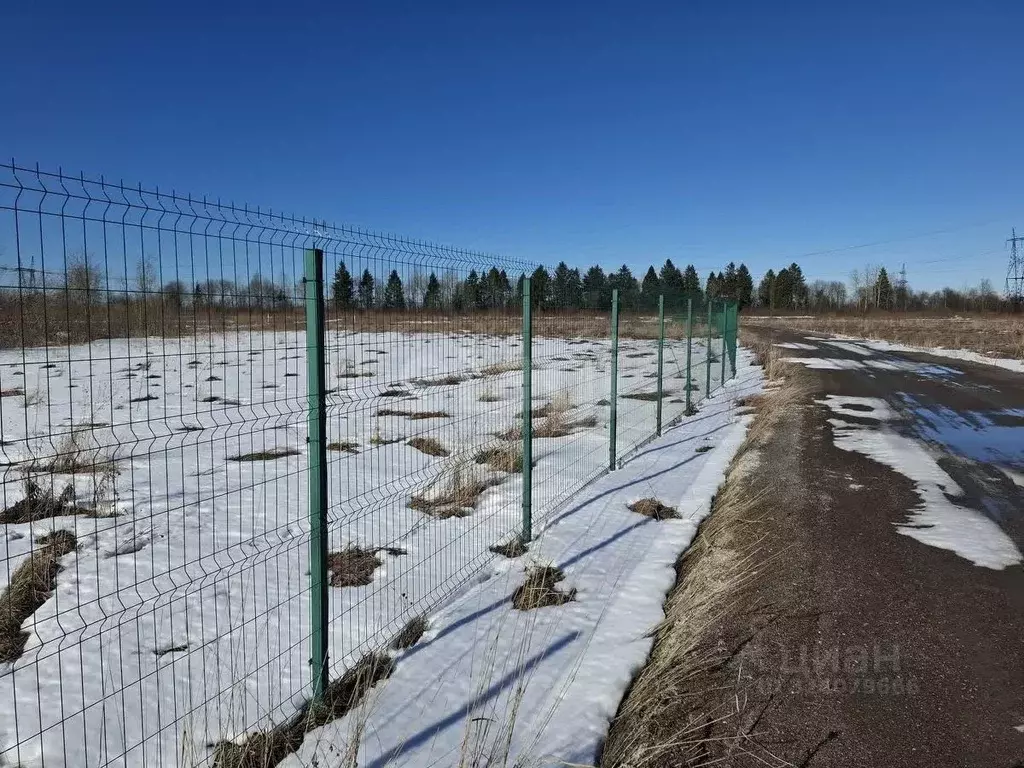 Участок в Ленинградская область, Волховский район, Староладожское ... - Фото 1