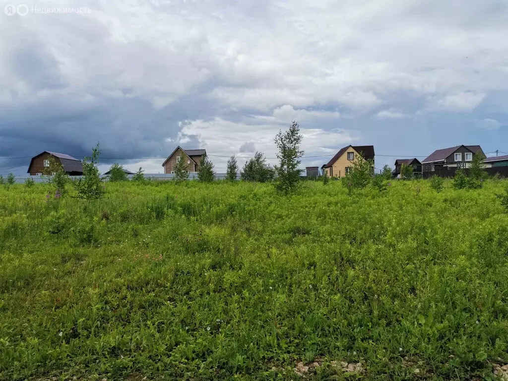 Участок в Московская область, городской округ Кашира, садовое ... - Фото 0