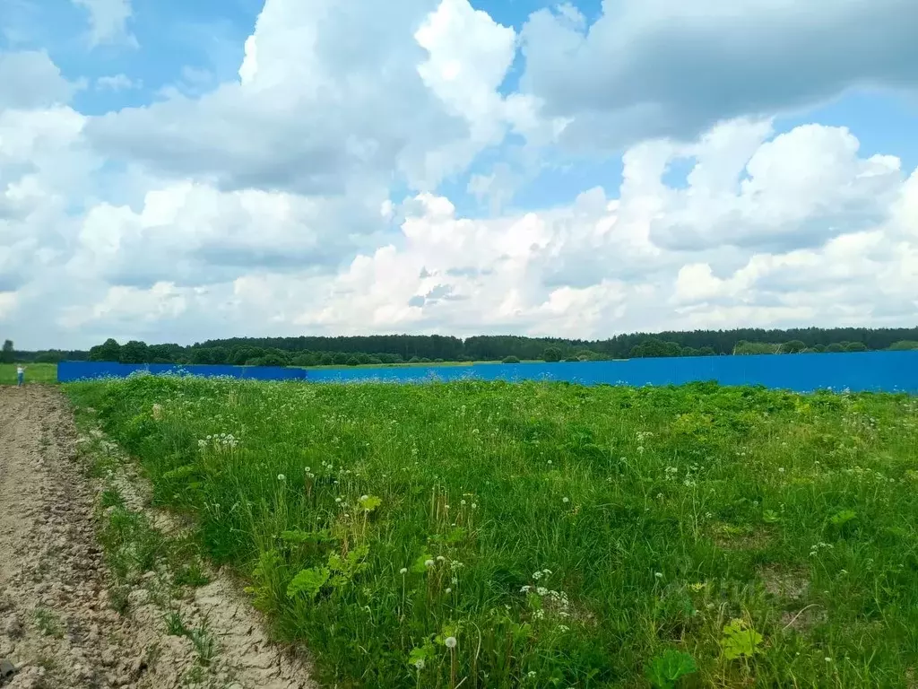 Участок в Московская область, Можайский муниципальный округ, с. ... - Фото 2